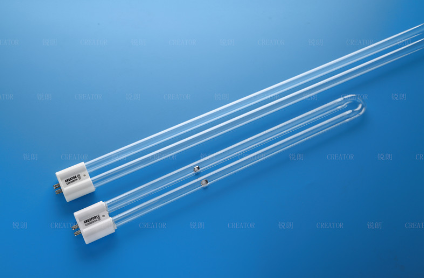 Can UV germicidal lamp kill mold
